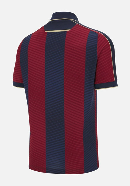 Maillot Domicile Levante — La Liga